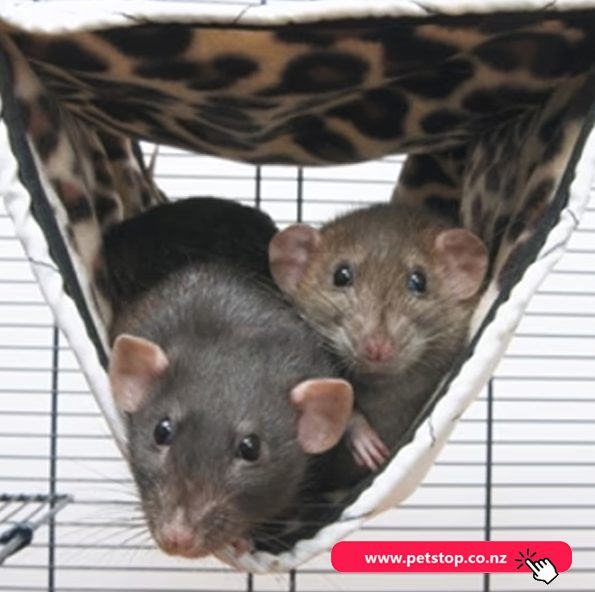 Savic Tube Hammock for ferrets and rats-Medium 31x24x24cm Carousel 1