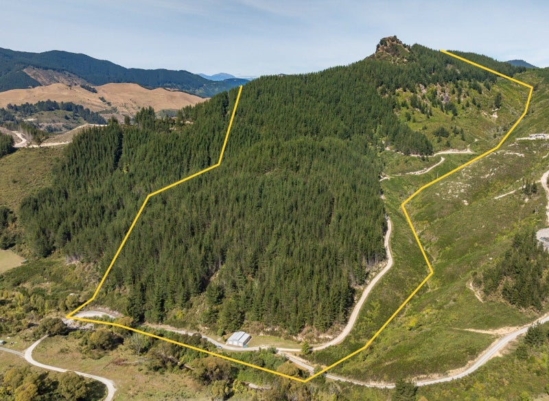 Glorious Graham Valley63964582738689112