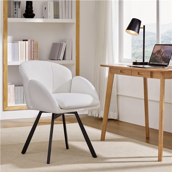 Computer Chair Ofice Chair Carousel 1