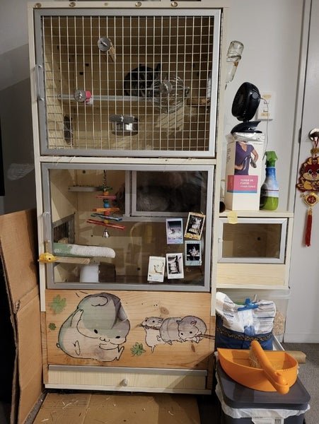 Chinchilla cage - presell Carousel 1