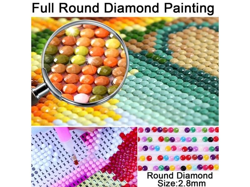 Diamond Painting Kit Carousel 1