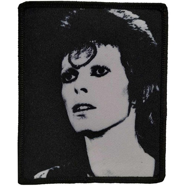 David Bowie Standard Patch Carousel 1