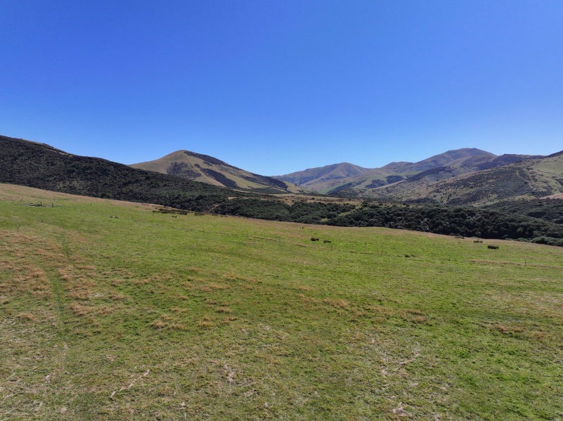 Image 1 of 16