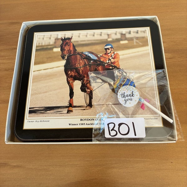 New Zealand Trotting Cup 80’s Winners Horse Racing Placemat Set x6 Vintage Carousel 12