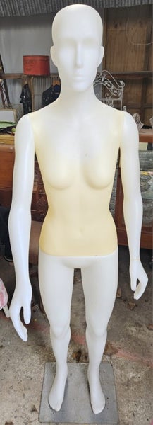 Mannequin Carousel 3