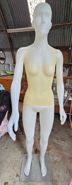 Mannequin Carousel 1