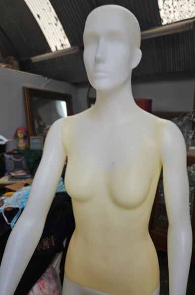 Mannequin Carousel 2