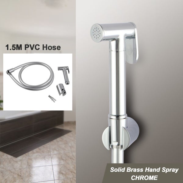 Chrome Toilet Bidet Carousel 1