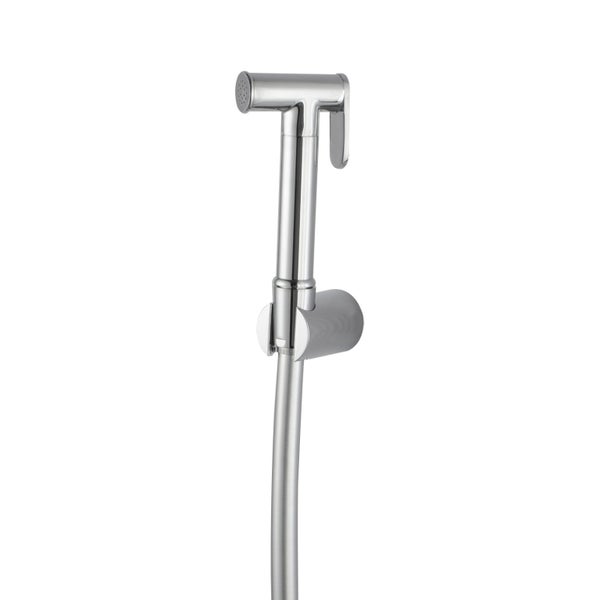 Chrome Toilet Bidet Carousel 2
