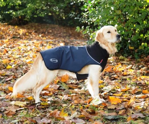 DOG COAT SCRUFFS THERMAL 65CM BLUE BLOCK Carousel 2