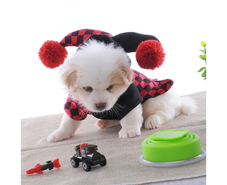 Cute Pet Halloween Cartoon Clown Joker Costume for Pet Dog Teddy Cat Autumn L Carousel 7