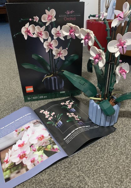 Lego Orchid 10311 Carousel 1
