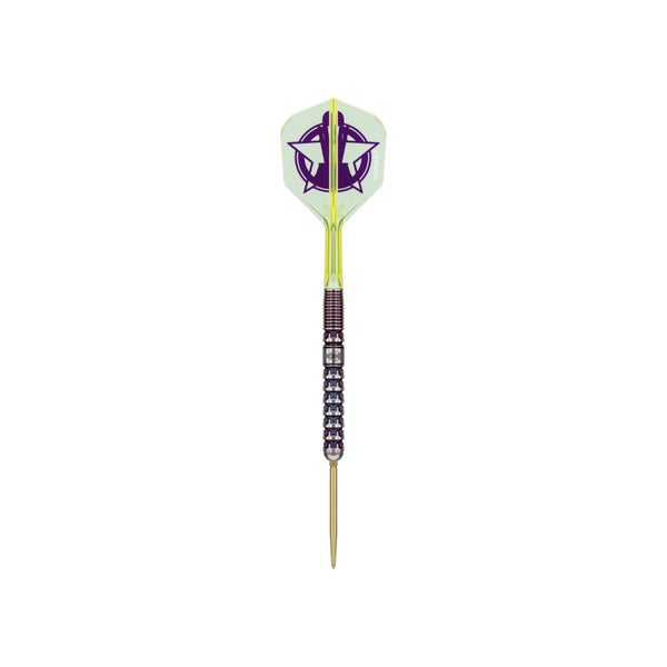 Target Luke Littler World Champion 2025 Limited Edition 90% Tungsten Steel Ti... Carousel 8