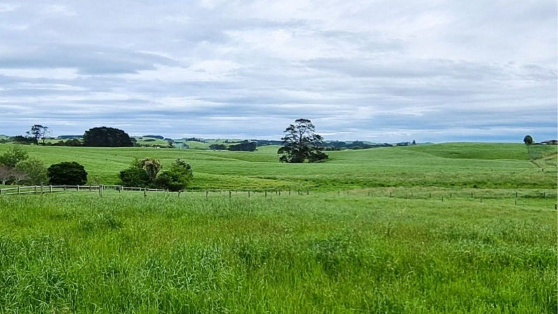 Image 2 of 11