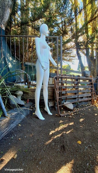 Life-Sized Female Mannequin 1.8 metres Tall Carousel 2