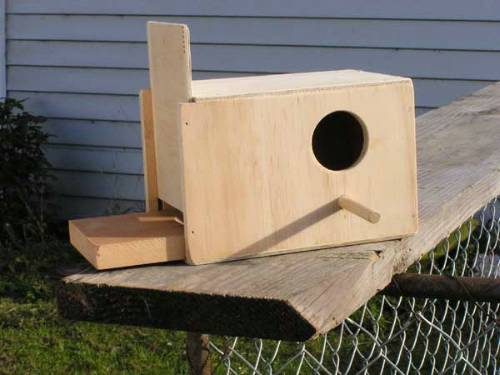 new BUDGIE nesting box (free shipping in N.Z) Carousel 1