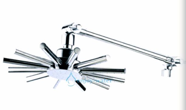 Shower Head With Arm Huge Ferris Wheel Rain - Special - Lennox bathroom Carousel 1