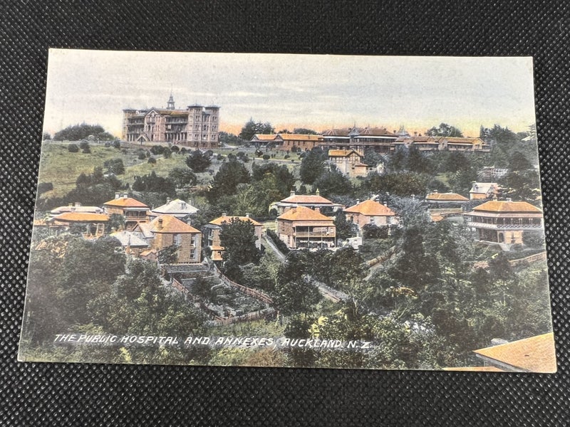 Antique "Auckland Public Hospital & Annexes " - Moa Series Post Card - Lot Q424 Carousel 1