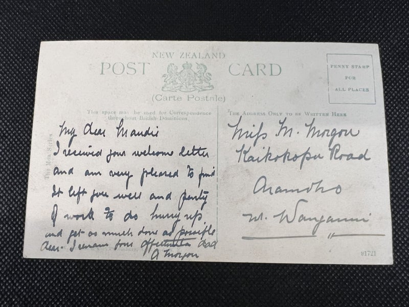 Antique "Auckland Public Hospital & Annexes " - Moa Series Post Card - Lot Q424 Carousel 2