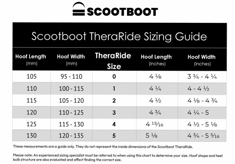 Scootboot TheraRide, pair Carousel 4