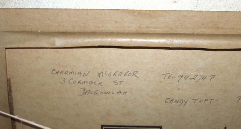 +++ CHARMING " CHARMIAN McGREGOR - CANDY TUFT" OIL PAINTING +++ Carousel 11