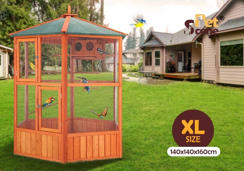 Bird Cage Carousel 2