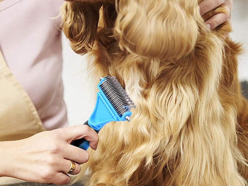 PTN NEW Dog Grooming Brush Sale Sale Carousel 17