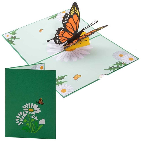 Colorpop Butterfly Greeting Card Orange Carousel 1
