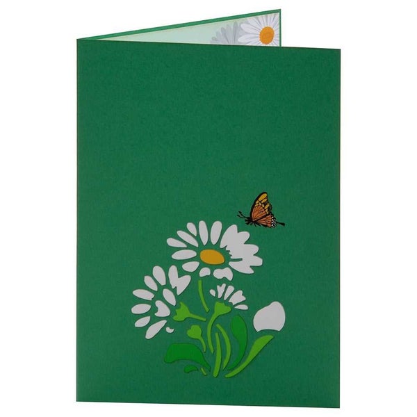 Colorpop Butterfly Greeting Card Orange Carousel 4