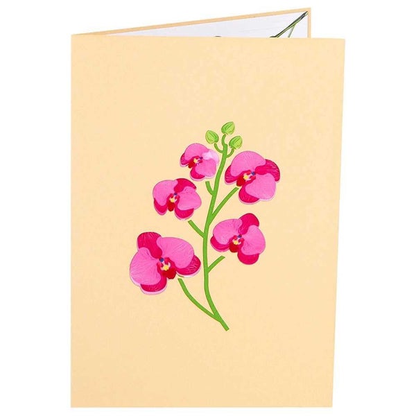 Colorpop Orchid Vase Card Medium Carousel 2