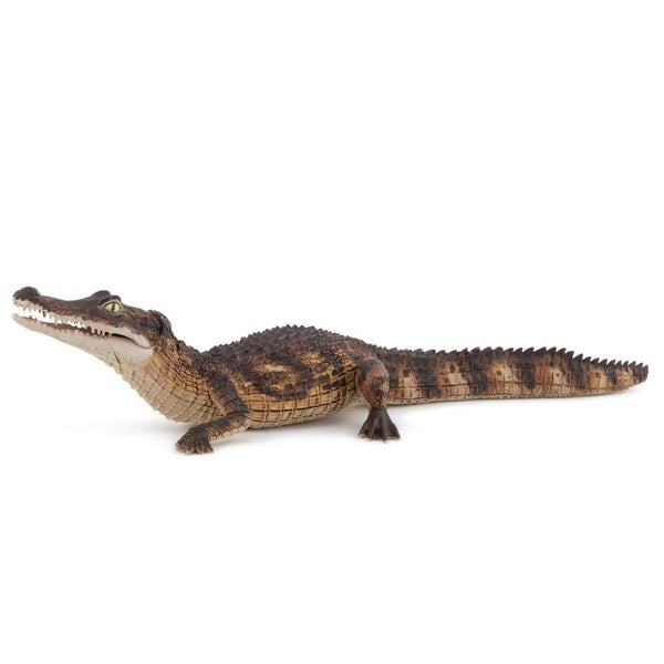 Papo Cayman Carousel 1