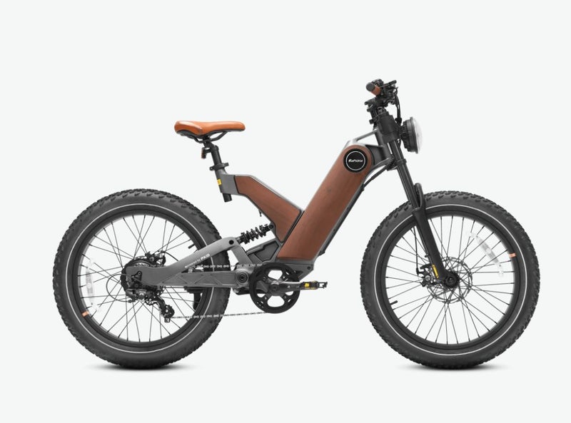 new 2025 Electric bike Carousel 1