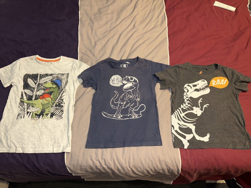 3 Boys dinosaurs T-shirts size 6 Carousel 1