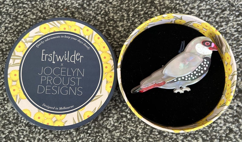 Erstwilder - Jocelyn Proust finch Carousel 2