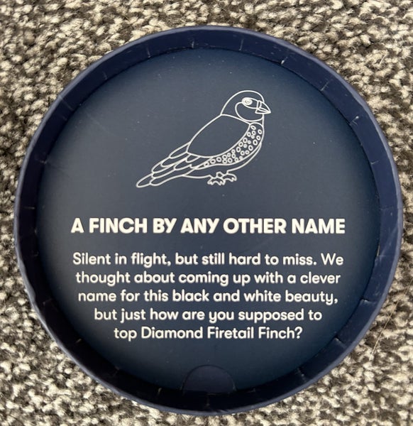 Erstwilder - Jocelyn Proust finch Carousel 3