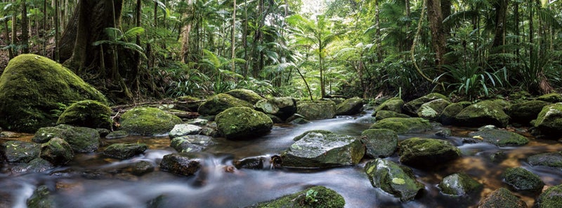 MOUNTAIN STREAM - HI RES DIGITAL ART - ARTIKONZ FOREST RIVER -60 X 150 cm -71488 Carousel 1