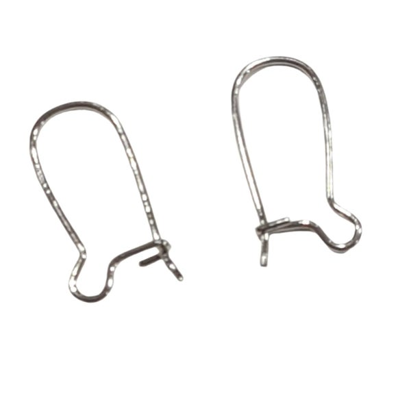 20pc Stainless Steel Kidney Ear Wires Carousel 1