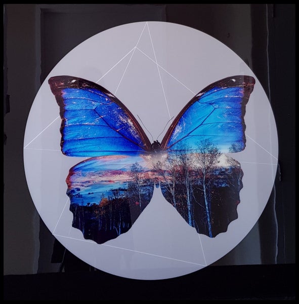 BUTTERFLY FOREST DIGITAL ART - ARTIKONZ ABSTRACT - 80 X 80 CM - CF125 Carousel 1