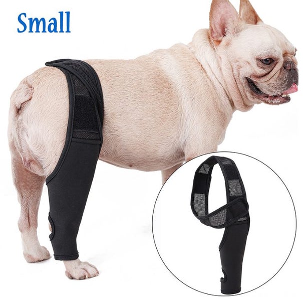 Dog Recovery Knee Brace Injuries Leg Brace Joint Wrap Carousel 1