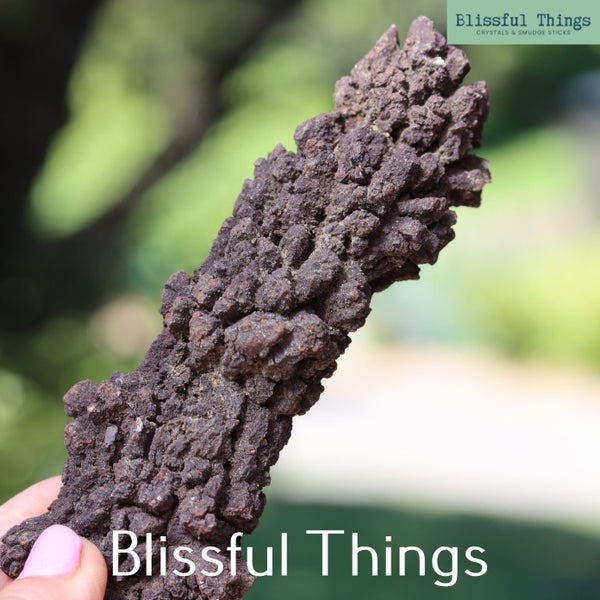 Fossil Poo, Coprolite (TMz115) Carousel 1