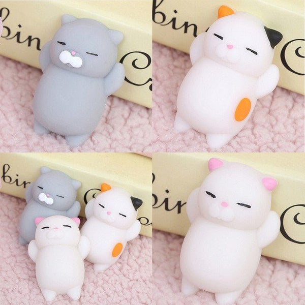 Mini Cat Fidget Carousel 1