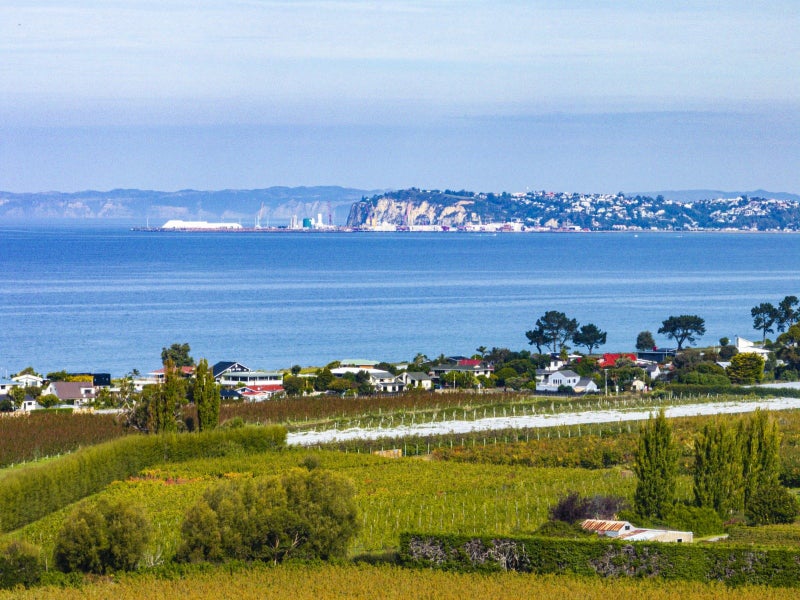 Image 2 of 34