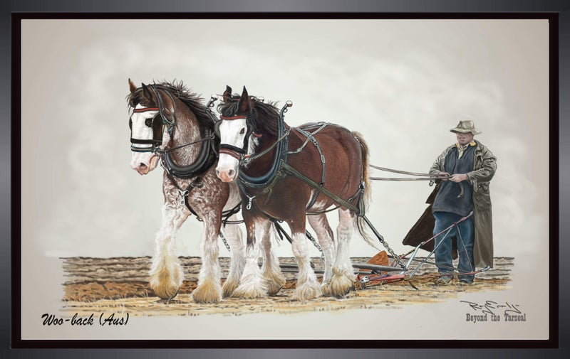Series 1803/01 Woo - back Australia Carousel 1