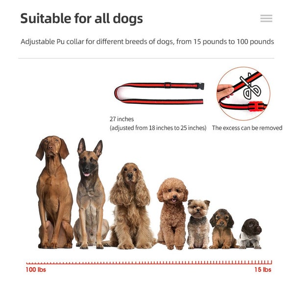 Dog Training Collar Clearance Sale63617775286017112