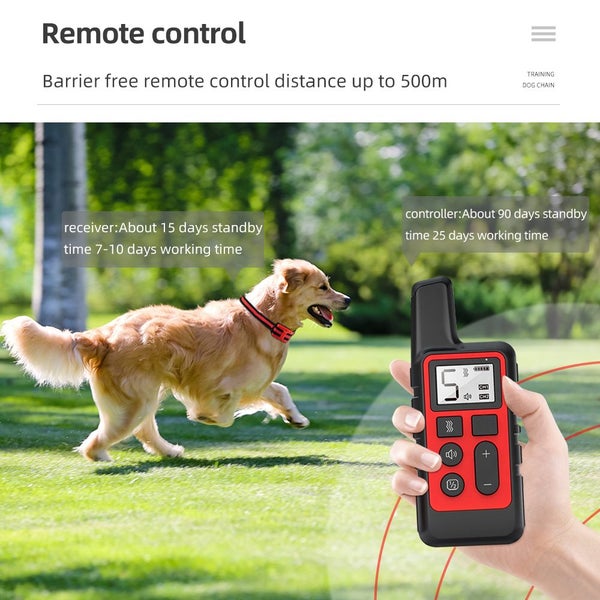 New Dog Training Collar on Afterpay Carousel 11
