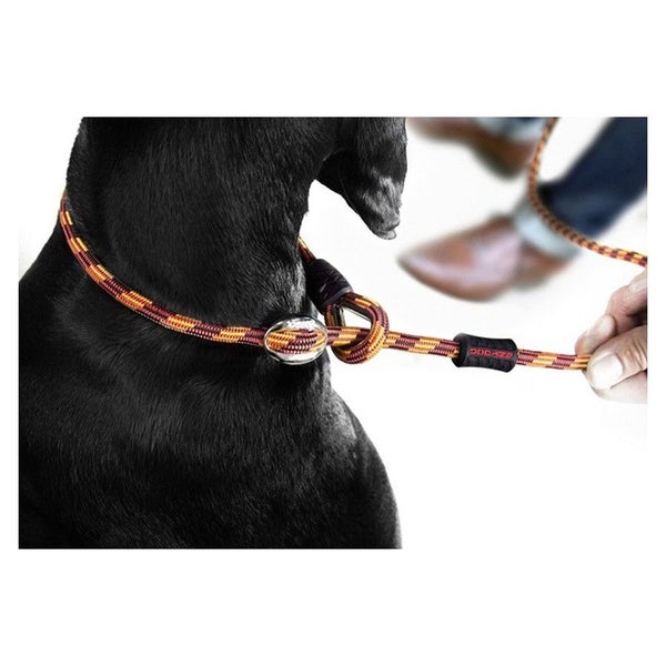 EzyDog Luca Leash 170cm Rope Lead Carousel 11