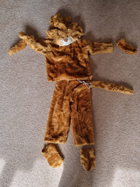 Lion costume for a boy or girl Carousel 1