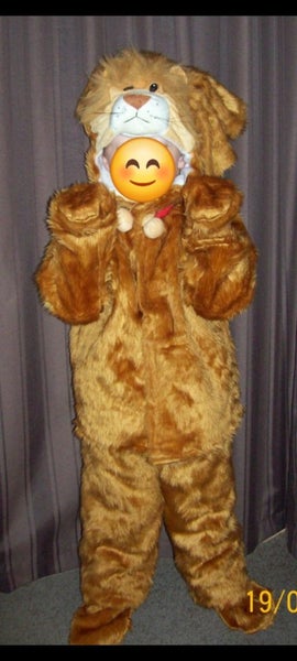 Lion costume for a boy or girl Carousel 2