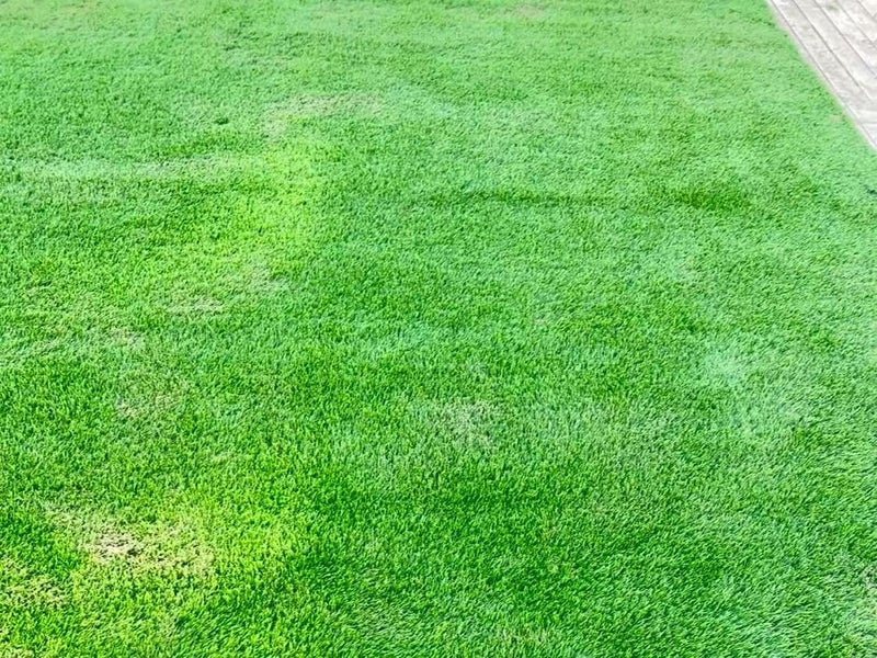 Artificial grass 2mx4m Carousel 11