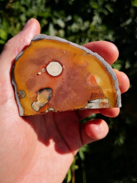 Petrified Wood carving slab Stunning pattern Carousel 1